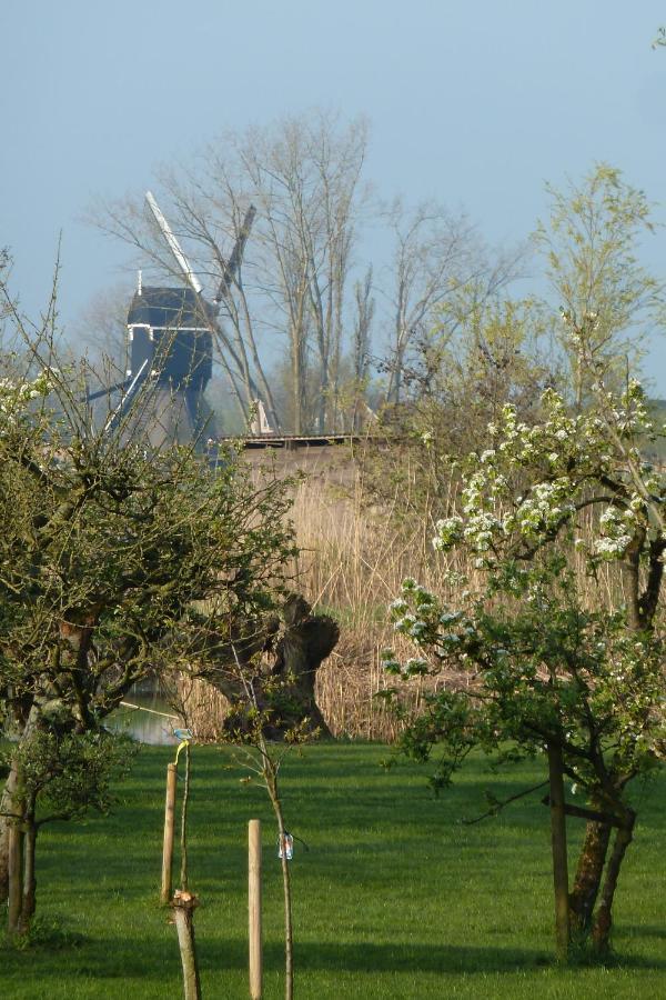 Bed&Breakfast Hoornaar Exterior photo